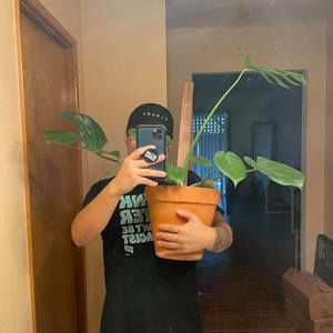 Meet your Posher, Luis